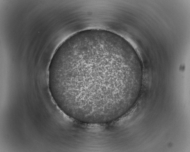 X0000099470807200805301555