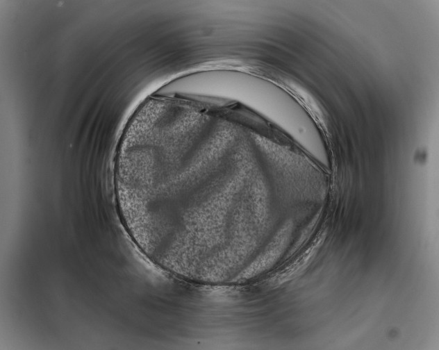 X0000099470808200805301555