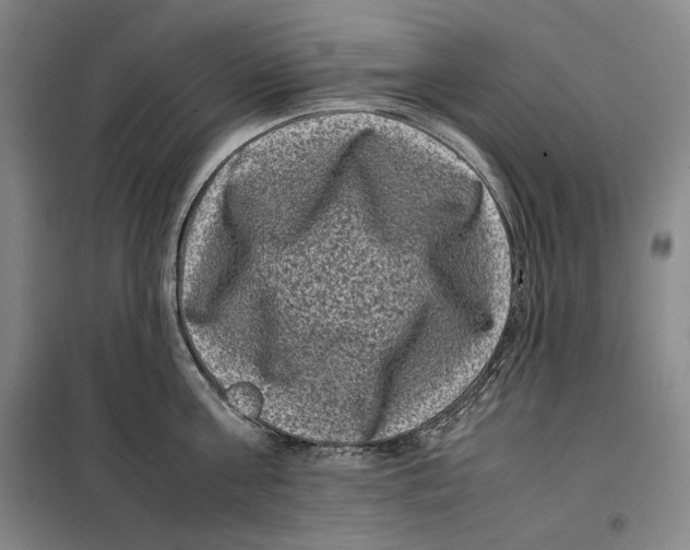 X0000099470811200805301555