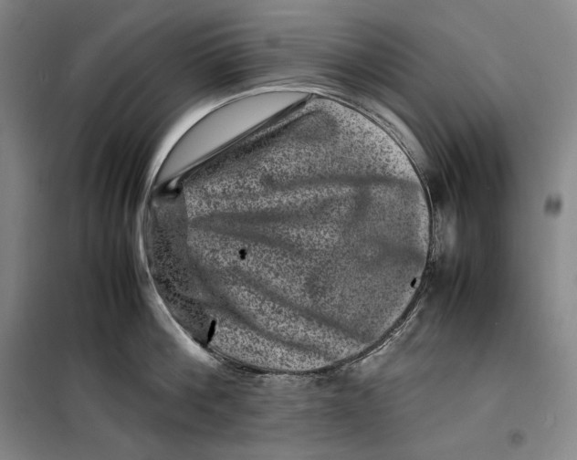 X0000099470812200805301555