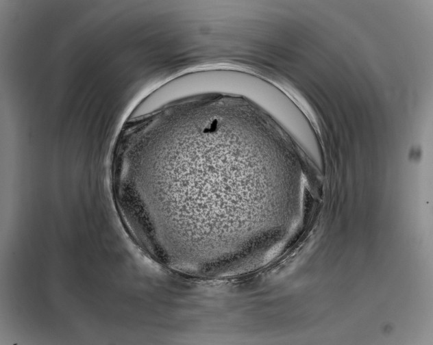 X0000099470813200805301555