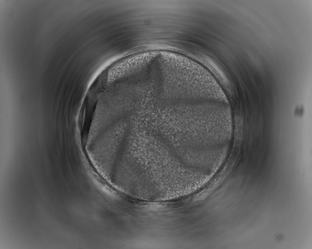 X0000099470814200805301555