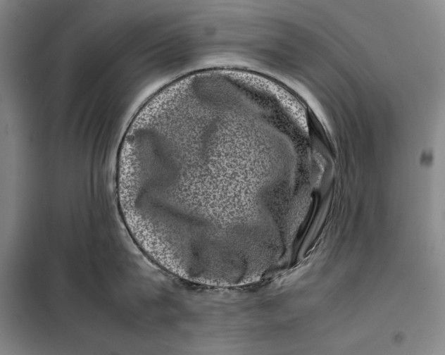 X0000099470815200805301555