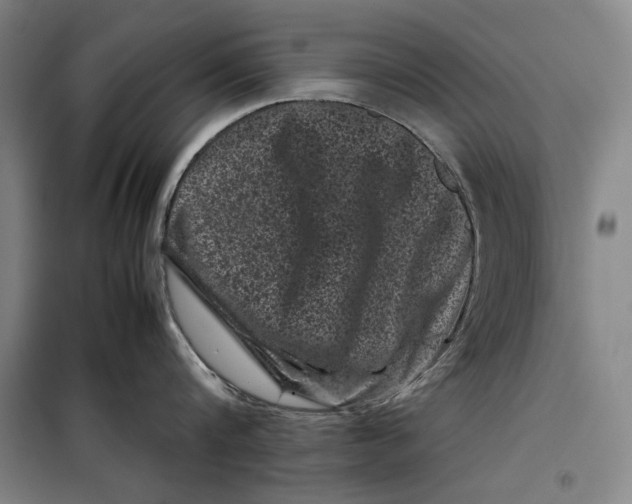 X0000099470816200805301555