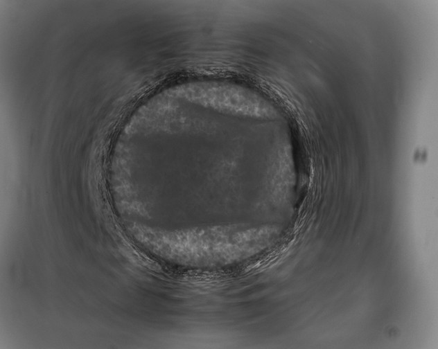 X0000099470817200805301554