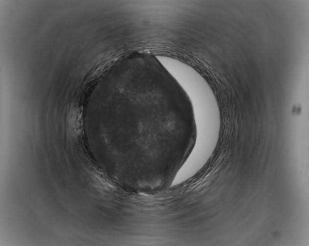 X0000099470818200805301554