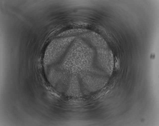 X0000099470819200805301554