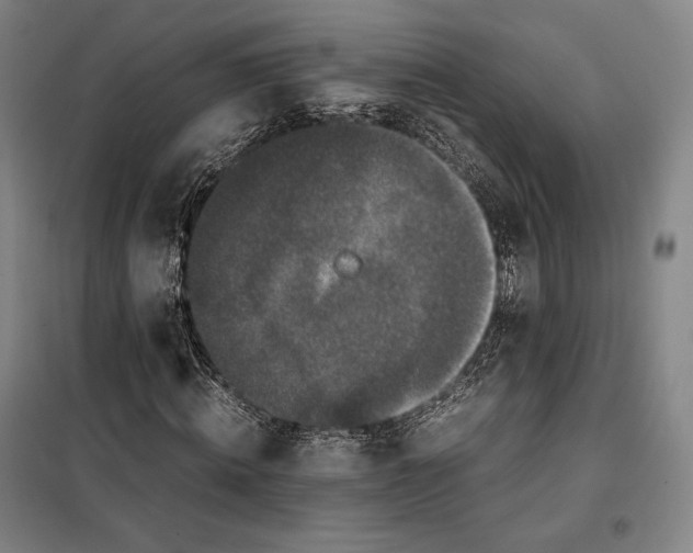 X0000099470820200805301554