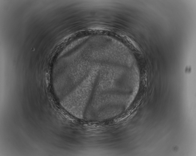 X0000099470821200805301554