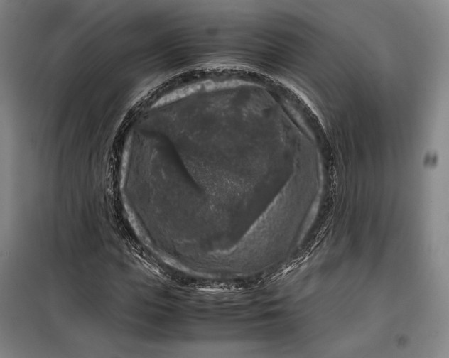 X0000099470823200805301554