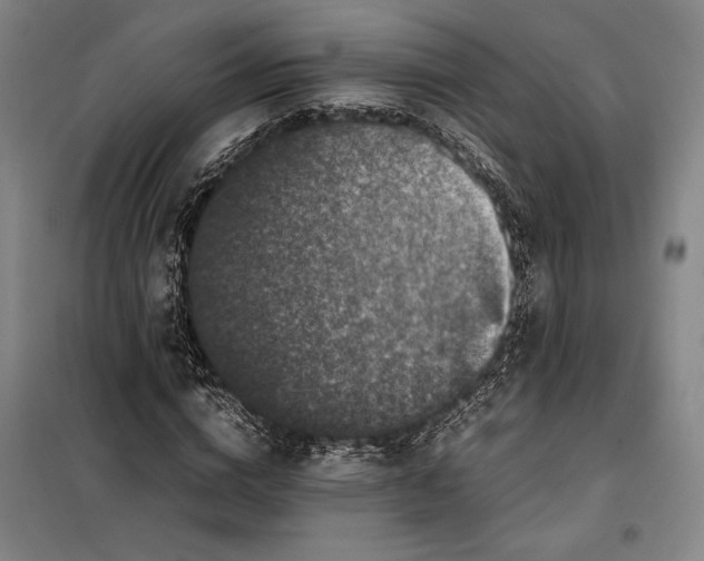 X0000099470824200805301554