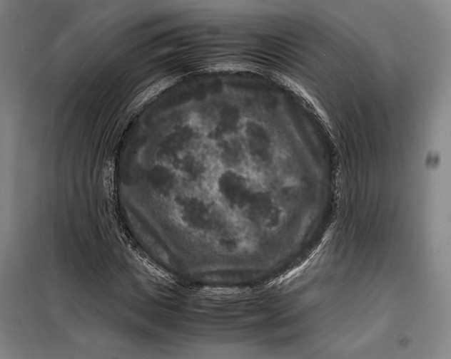 X0000099470825200805301554