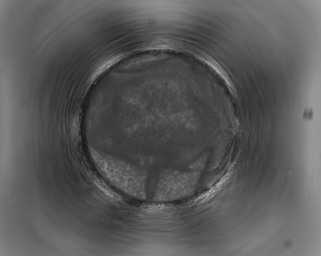 X0000099470826200805301554