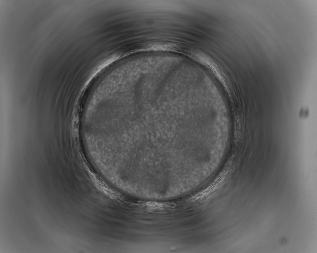 X0000099470827200805301554