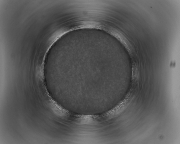 X0000099470828200805301554