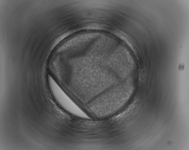 X0000099470829200805301554