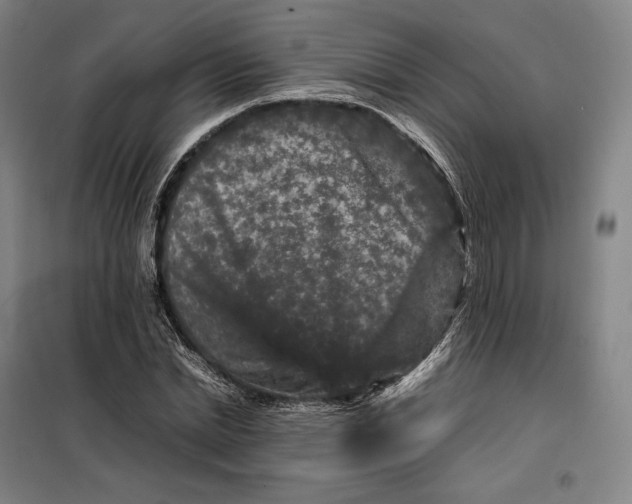 X0000099470830200805301554