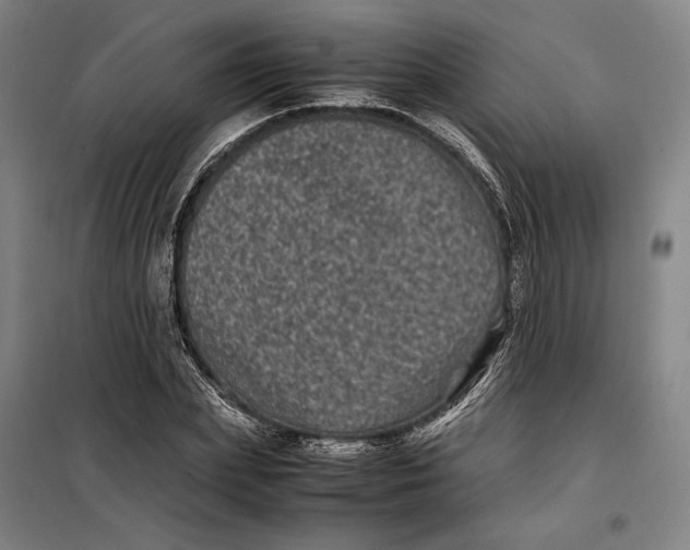 X0000099470831200805301554