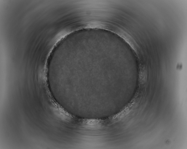 X0000099470832200805301554