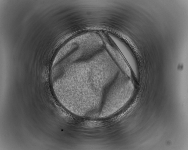 X0000099470833200805301554