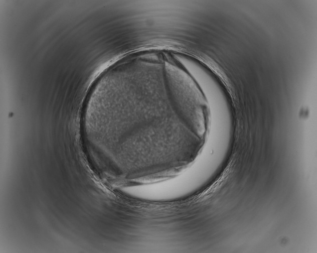 X0000099470834200805301554