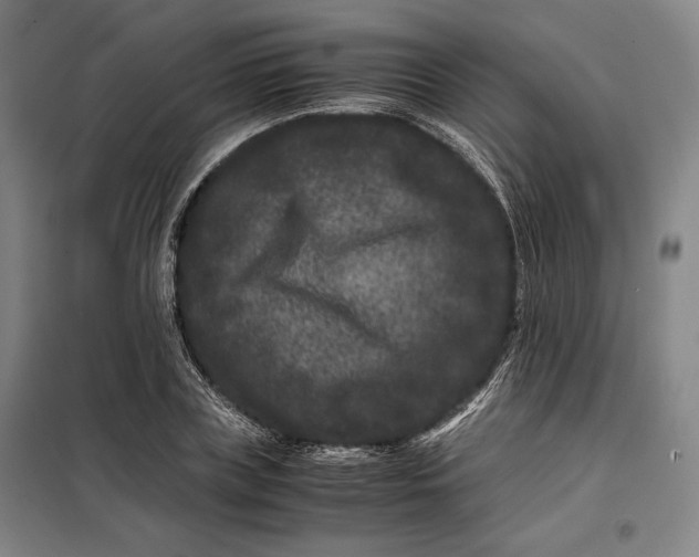 X0000099470835200805301554