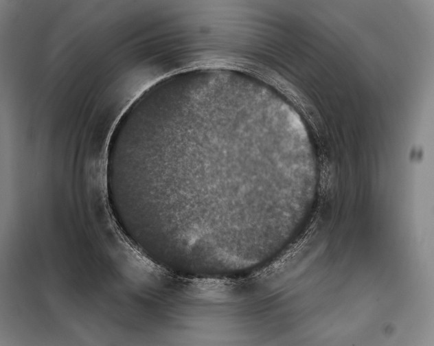 X0000099470836200805301554