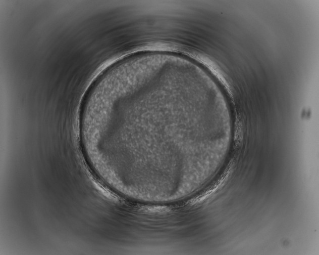 X0000099470837200805301554