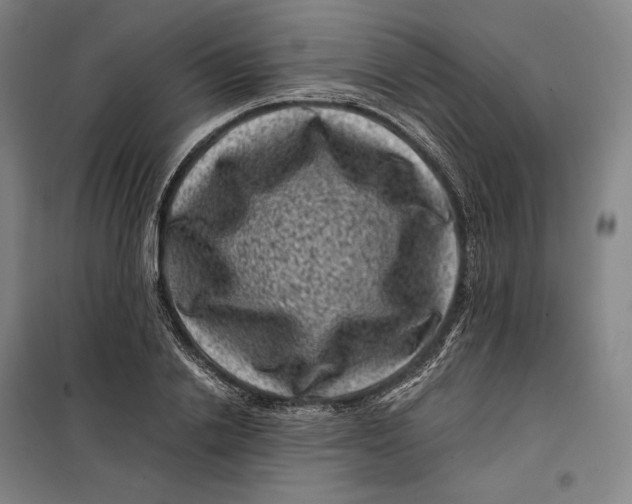 X0000099470838200805301554