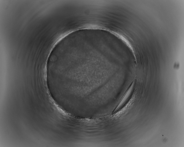 X0000099470839200805301554