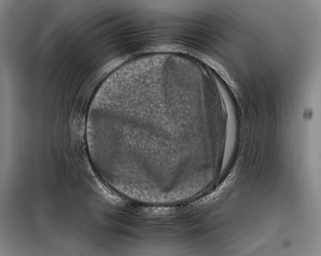 X0000099470841200805301554