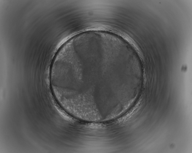 X0000099470842200805301554