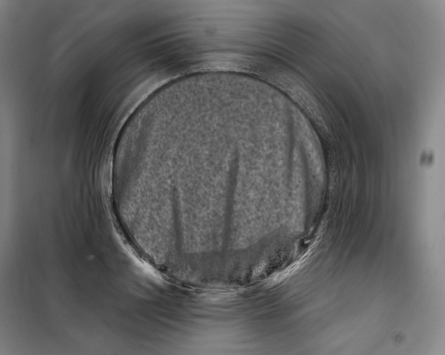 X0000099470844200805301554