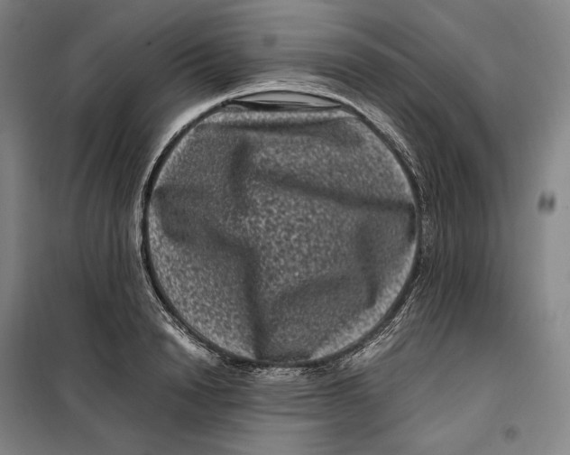 X0000099470846200805301554