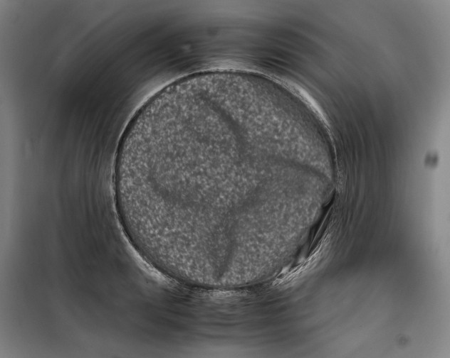 X0000099470847200805301554