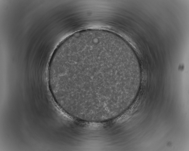 X0000099470848200805301554