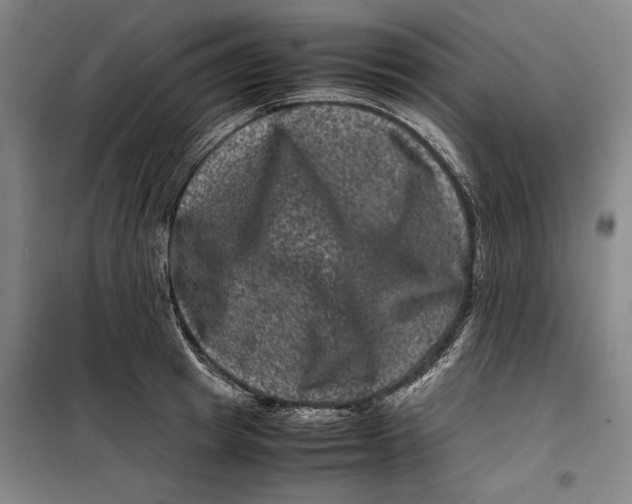 X0000099470849200805301554