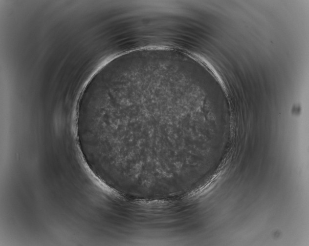 X0000099470851200805301554