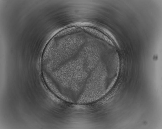 X0000099470852200805301554