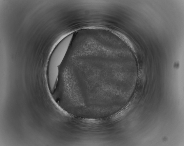 X0000099470855200805301554