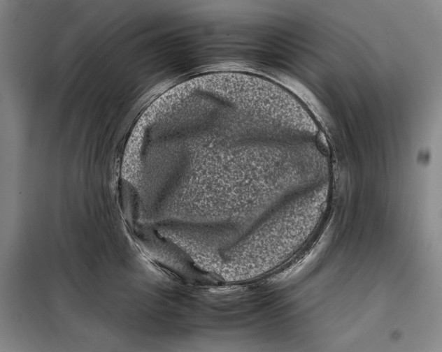 X0000099470857200805301554