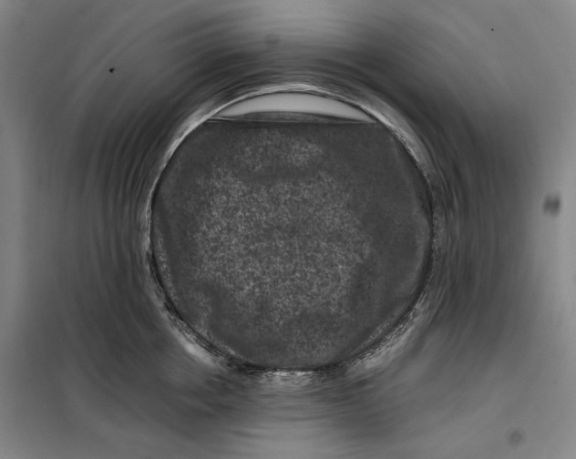 X0000099470858200805301554