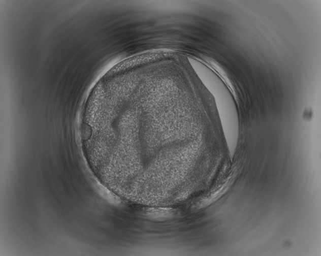 X0000099470859200805301555