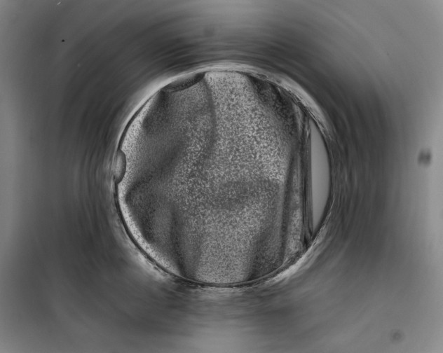 X0000099470860200805301555