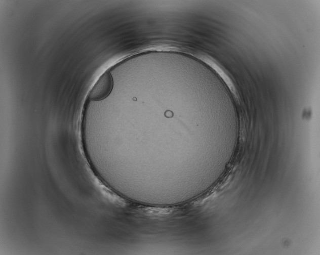 X0000099470861200805301555