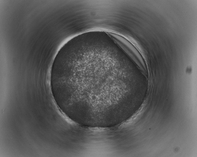 X0000099470862200805301555