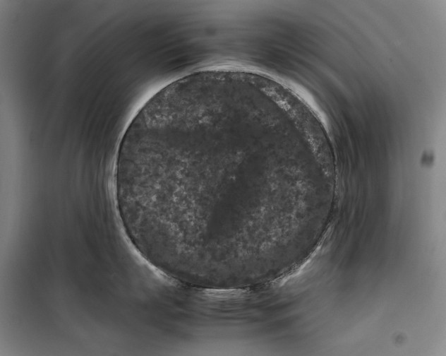 X0000099470863200805301555