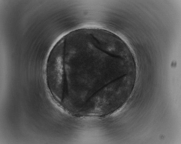 X0000099470864200805301555