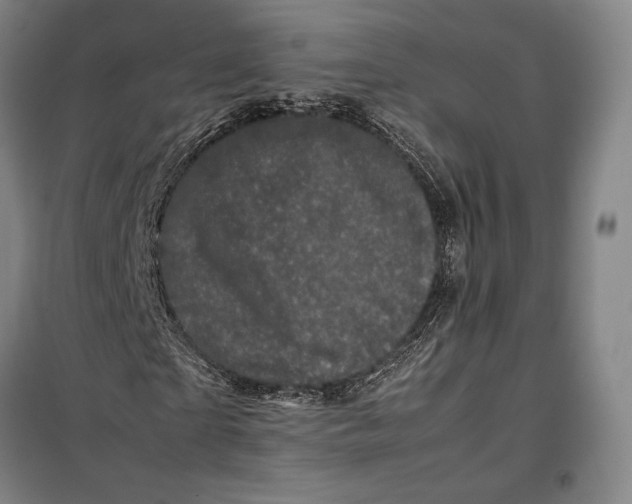 X0000099470865200805301554