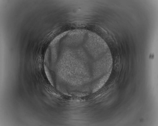 X0000099470866200805301554